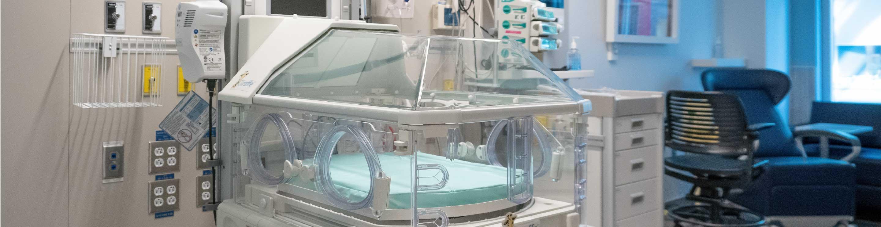 Incubator 